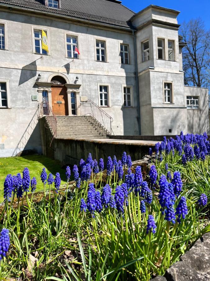Sarnia Polana Villa Kostrzyca ภายนอก รูปภาพ